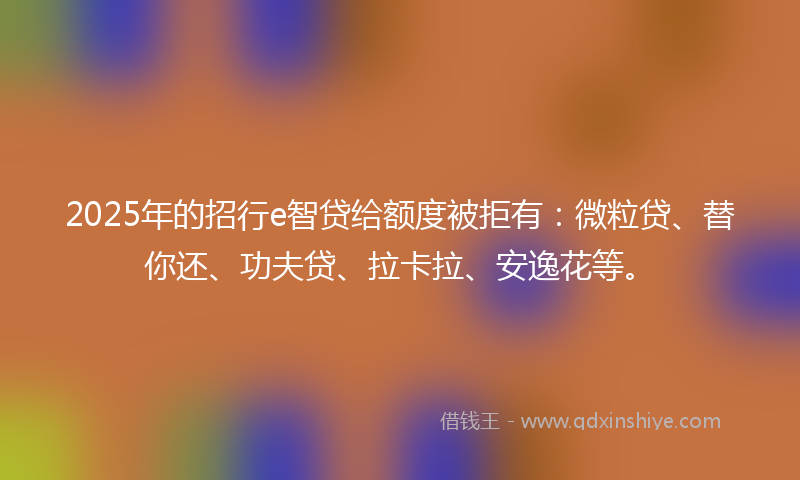 2025年的招行e智贷给额度被拒有：微粒贷、替你还、功夫贷、拉卡拉、安逸花等。