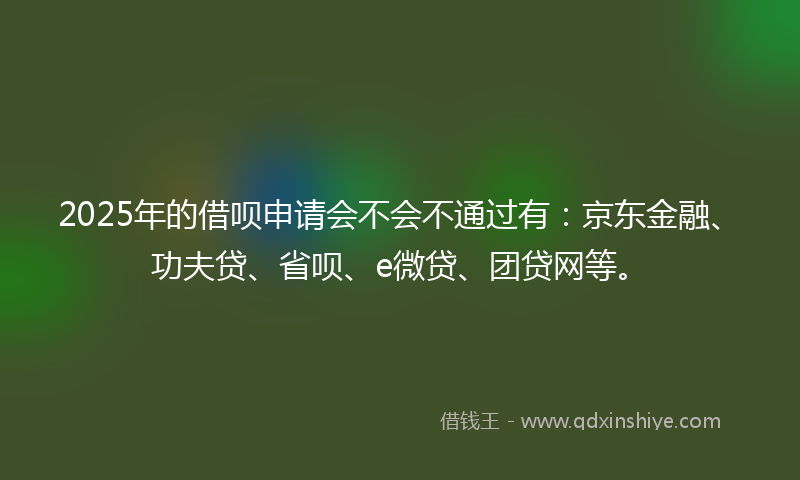 2025年的借呗申请会不会不通过有：京东金融、功夫贷、省呗、e微贷、团贷网等。