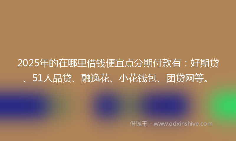 2025年的在哪里借钱便宜点分期付款有：好期贷、51人品贷、融逸花、小花钱包、团贷网等。