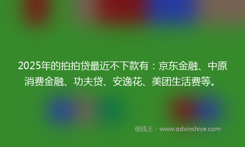 2025年的拍拍贷最近不下款有：京东金融、中原消费金融、功夫贷、安逸花、美团生活费等。