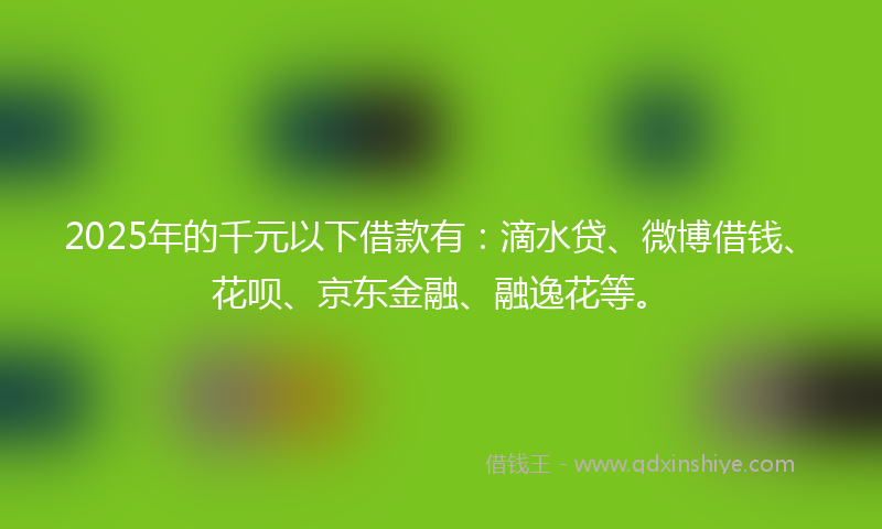 2025年的千元以下借款有：滴水贷、微博借钱、花呗、京东金融、融逸花等。