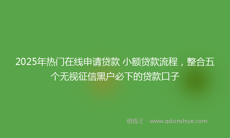 2025年热门在线申请贷款 小额贷款流程，整合五个无视征信黑户必下的贷款口子