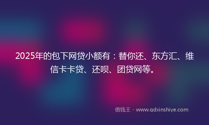 2025年的包下网贷小额有：替你还、东方汇、维信卡卡贷、还呗、团贷网等。