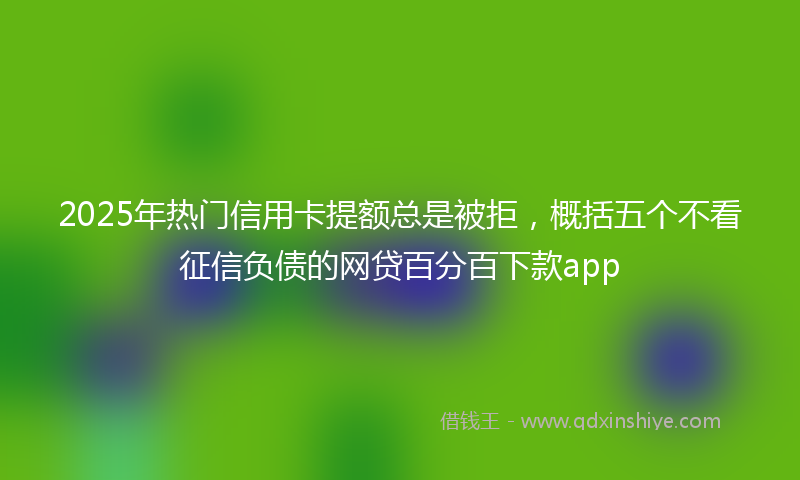 2025年热门信用卡提额总是被拒，概括五个不看征信负债的网贷百分百下款app