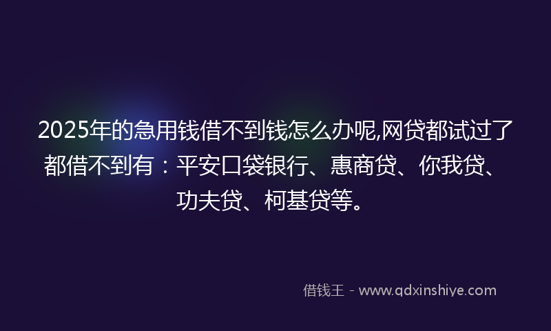 2025年的急用钱借不到钱怎么办呢,网贷都试过了都借不到有：平安口袋银行、惠商贷、你我贷、功夫贷、柯基贷等。