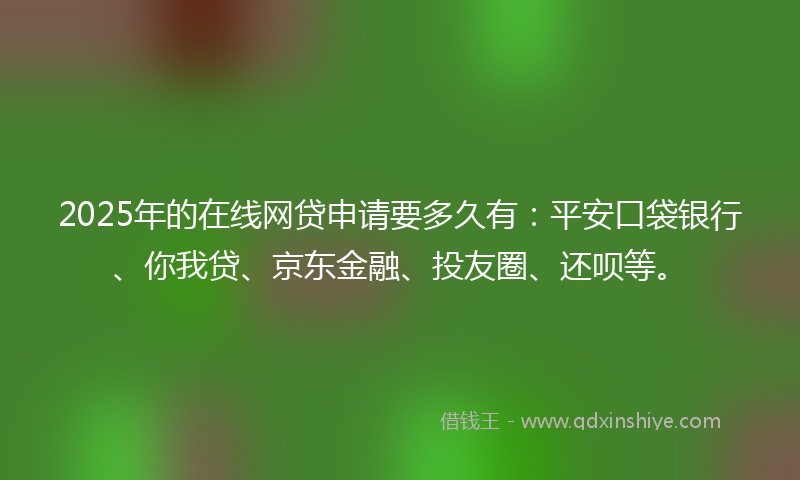 2025年的在线网贷申请要多久有：平安口袋银行、你我贷、京东金融、投友圈、还呗等。