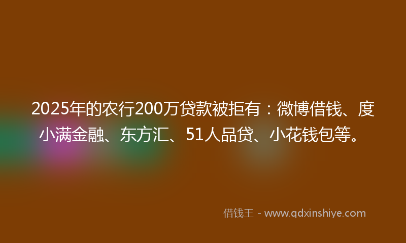 2025年的农行200万贷款被拒有：微博借钱、度小满金融、东方汇、51人品贷、小花钱包等。