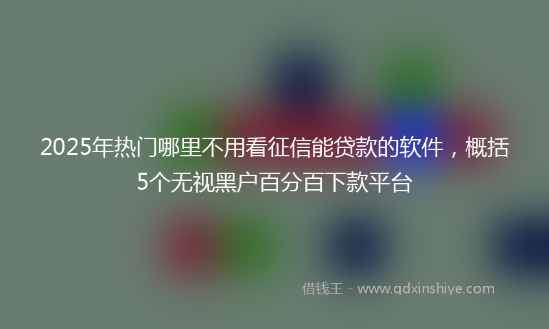 2025年热门哪里不用看征信能贷款的软件，概括5个无视黑户百分百下款平台