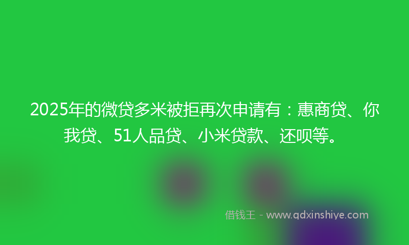2025年的微贷多米被拒再次申请有：惠商贷、你我贷、51人品贷、小米贷款、还呗等。