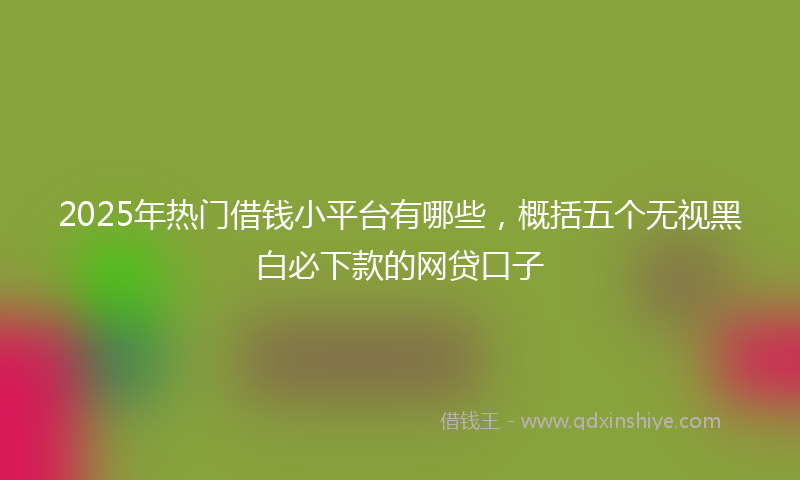 2025年热门借钱小平台有哪些，概括五个无视黑白必下款的网贷口子