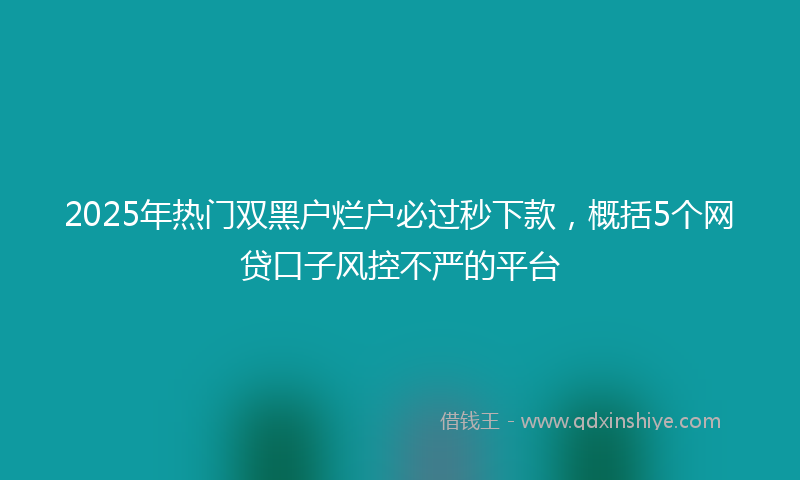 2025年热门双黑户烂户必过秒下款，概括5个网贷口子风控不严的平台