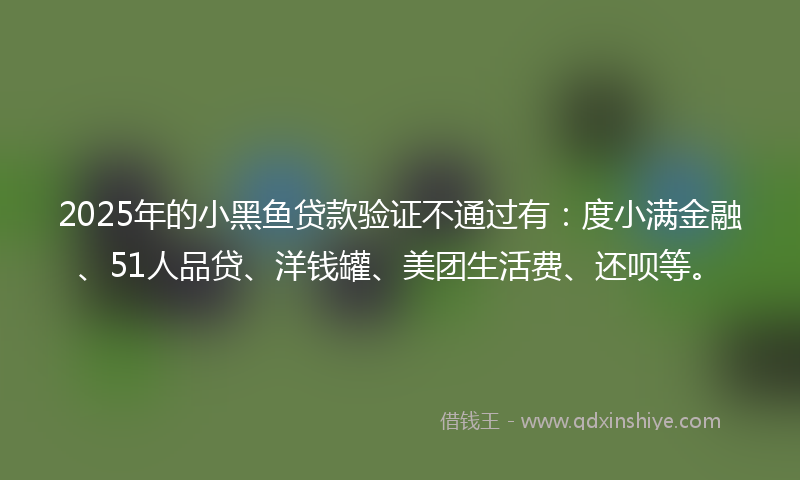 2025年的小黑鱼贷款验证不通过有：度小满金融、51人品贷、洋钱罐、美团生活费、还呗等。