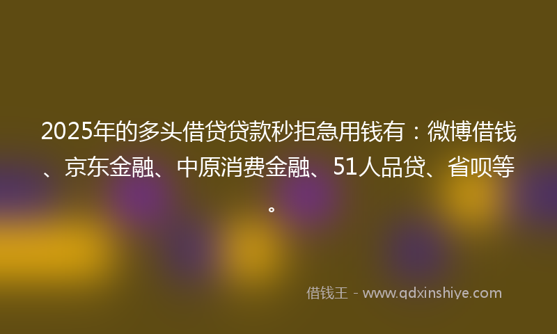 2025年的多头借贷贷款秒拒急用钱有：微博借钱、京东金融、中原消费金融、51人品贷、省呗等。