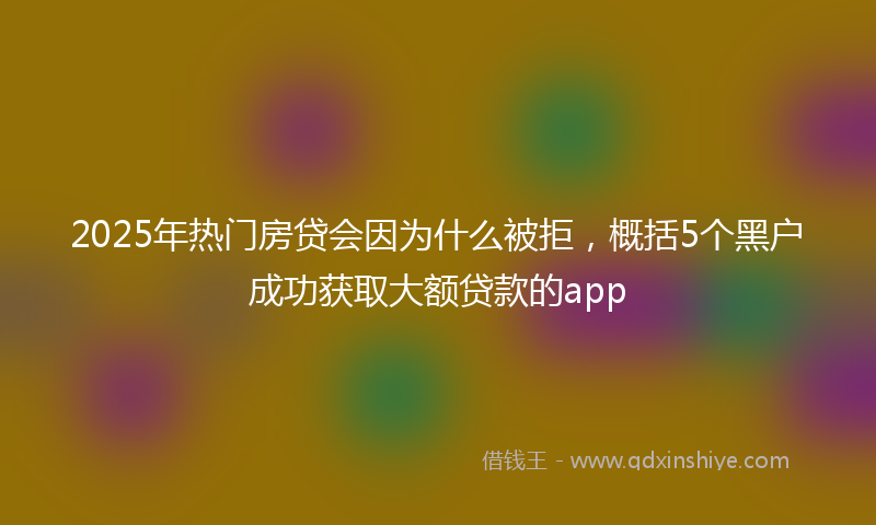 2025年热门房贷会因为什么被拒，概括5个黑户成功获取大额贷款的app