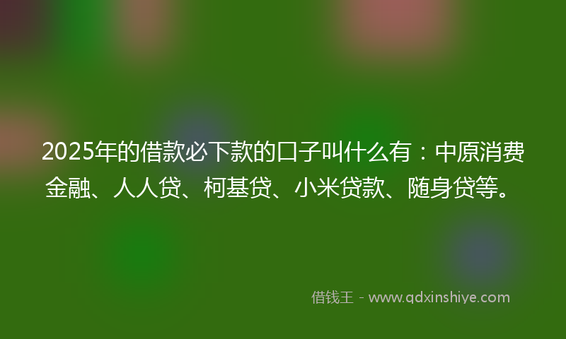 2025年的借款必下款的口子叫什么有：中原消费金融、人人贷、柯基贷、小米贷款、随身贷等。
