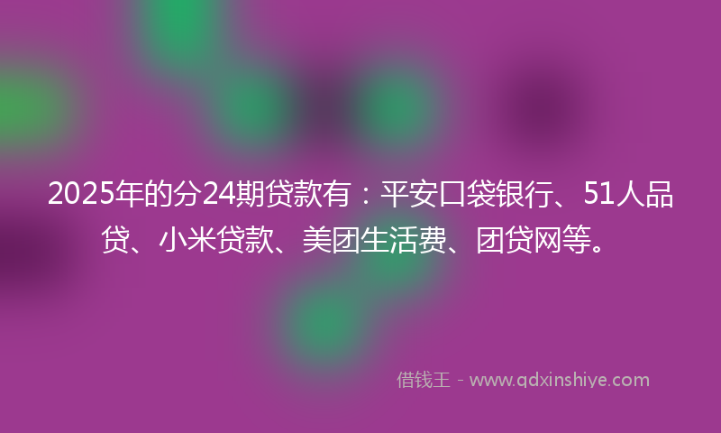 2025年的分24期贷款有：平安口袋银行、51人品贷、小米贷款、美团生活费、团贷网等。