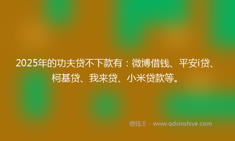 2025年的功夫贷不下款有：微博借钱、平安i贷、柯基贷、我来贷、小米贷款等。