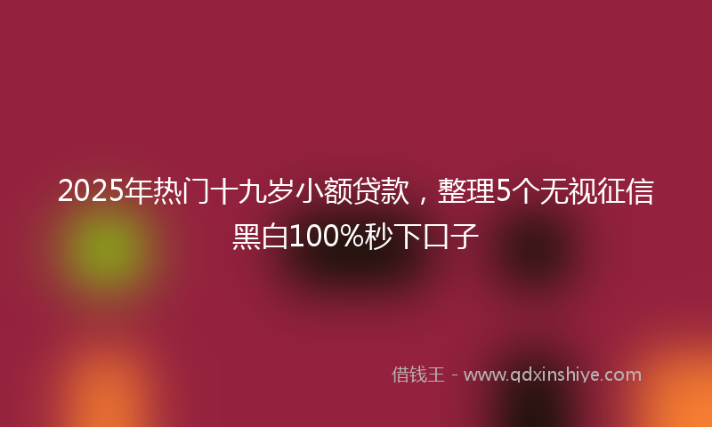 2025年热门十九岁小额贷款，整理5个无视征信黑白100%秒下口子