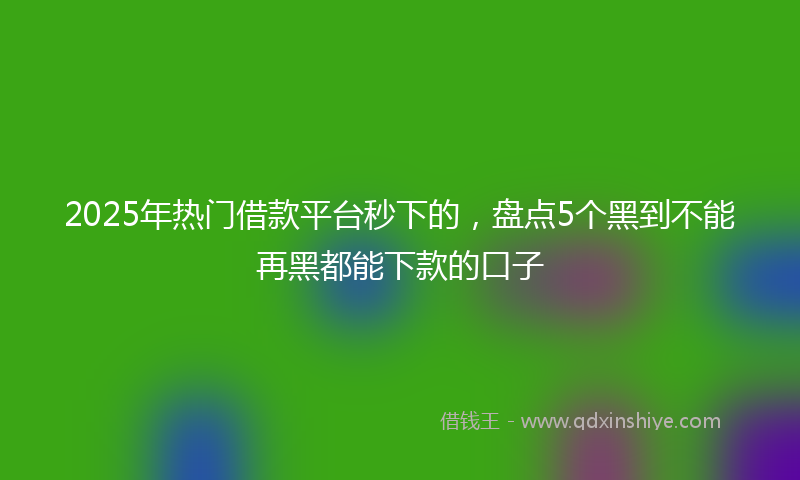 2025年热门借款平台秒下的，盘点5个黑到不能再黑都能下款的口子