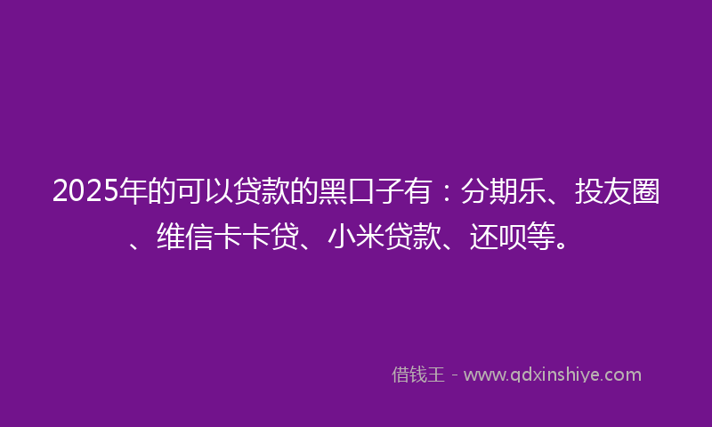 2025年的可以贷款的黑口子有：分期乐、投友圈、维信卡卡贷、小米贷款、还呗等。