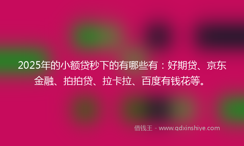 2025年的小额贷秒下的有哪些有：好期贷、京东金融、拍拍贷、拉卡拉、百度有钱花等。