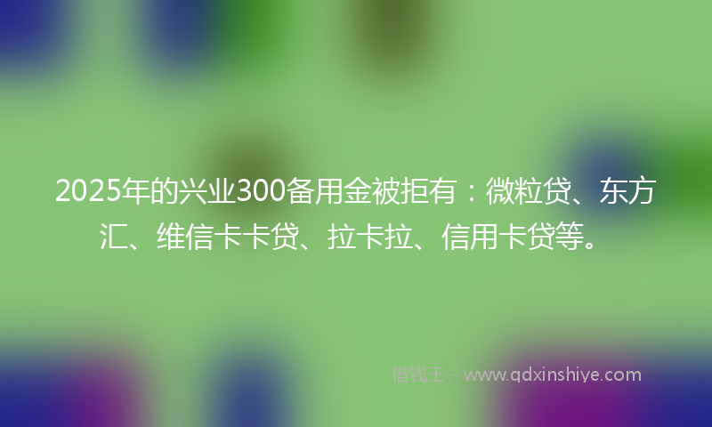 2025年的兴业300备用金被拒有：微粒贷、东方汇、维信卡卡贷、拉卡拉、信用卡贷等。
