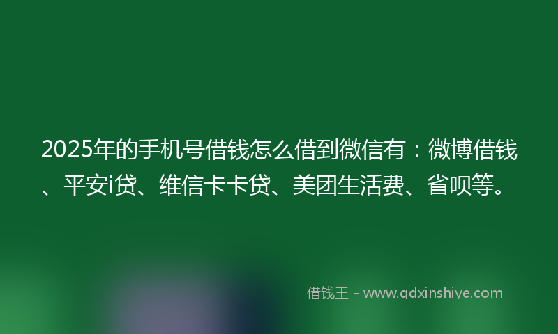 2025年的手机号借钱怎么借到微信有：微博借钱、平安i贷、维信卡卡贷、美团生活费、省呗等。