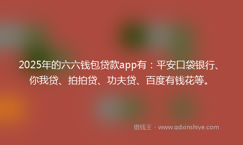 2025年的六六钱包贷款app有：平安口袋银行、你我贷、拍拍贷、功夫贷、百度有钱花等。