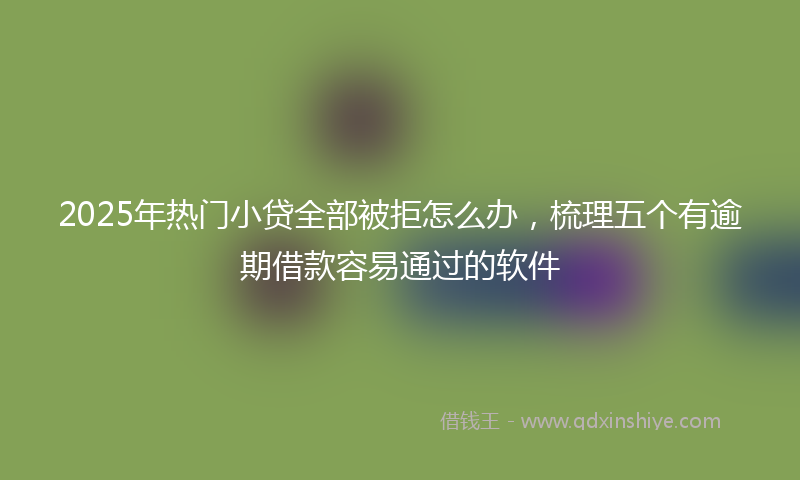 2025年热门小贷全部被拒怎么办，梳理五个有逾期借款容易通过的软件