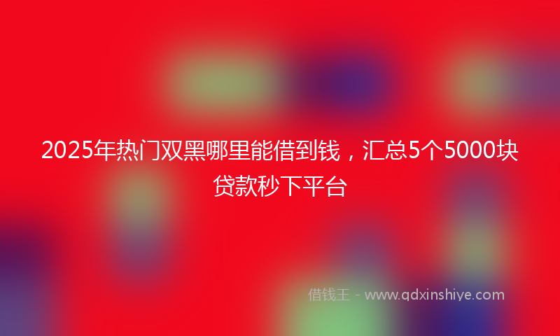 2025年热门双黑哪里能借到钱，汇总5个5000块贷款秒下平台