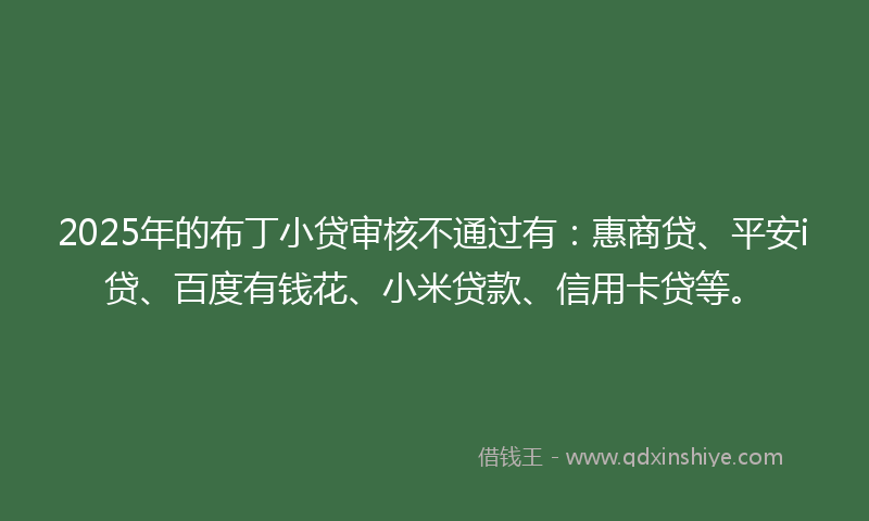 2025年的布丁小贷审核不通过有：惠商贷、平安i贷、百度有钱花、小米贷款、信用卡贷等。