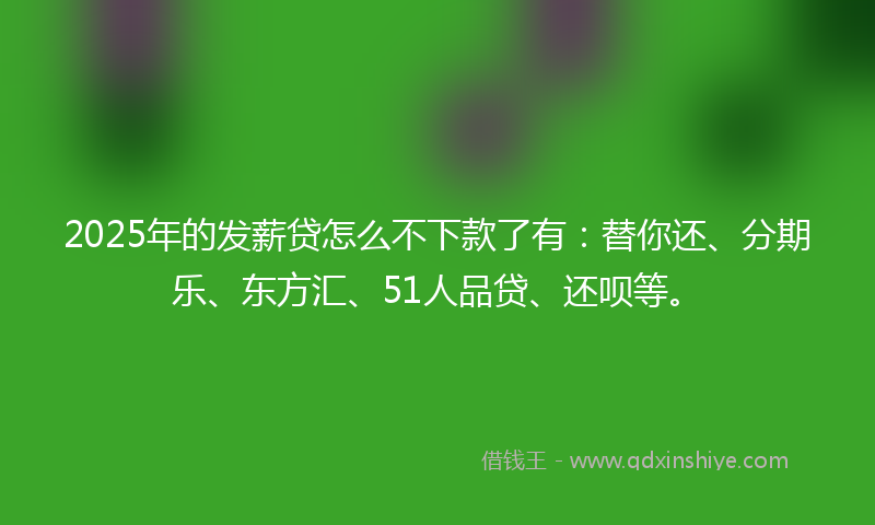 2025年的发薪贷怎么不下款了有：替你还、分期乐、东方汇、51人品贷、还呗等。
