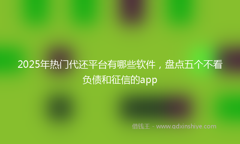 2025年热门代还平台有哪些软件，盘点五个不看负债和征信的app