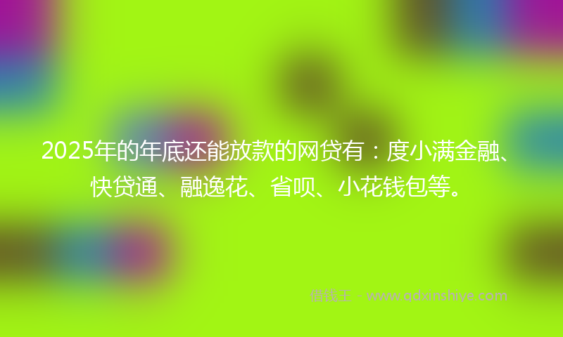 2025年的年底还能放款的网贷有：度小满金融、快贷通、融逸花、省呗、小花钱包等。