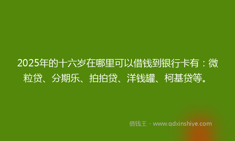 2025年的十六岁在哪里可以借钱到银行卡有：微粒贷、分期乐、拍拍贷、洋钱罐、柯基贷等。