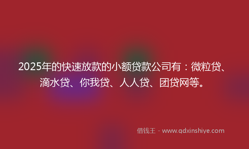 2025年的快速放款的小额贷款公司有：微粒贷、滴水贷、你我贷、人人贷、团贷网等。