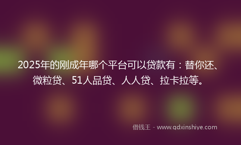 2025年的刚成年哪个平台可以贷款有：替你还、微粒贷、51人品贷、人人贷、拉卡拉等。