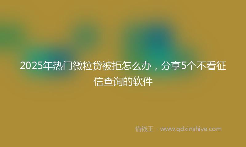 2025年热门微粒贷被拒怎么办，分享5个不看征信查询的软件