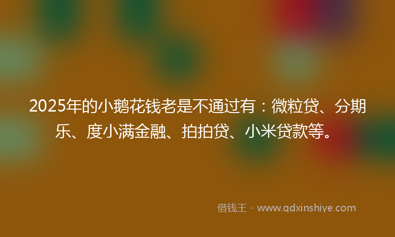 2025年的小鹅花钱老是不通过有：微粒贷、分期乐、度小满金融、拍拍贷、小米贷款等。