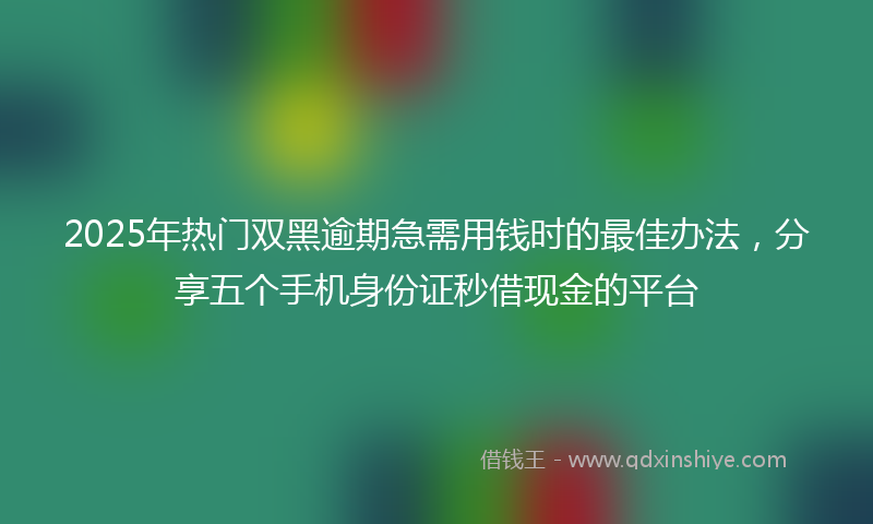 2025年热门双黑逾期急需用钱时的最佳办法，分享五个手机身份证秒借现金的平台