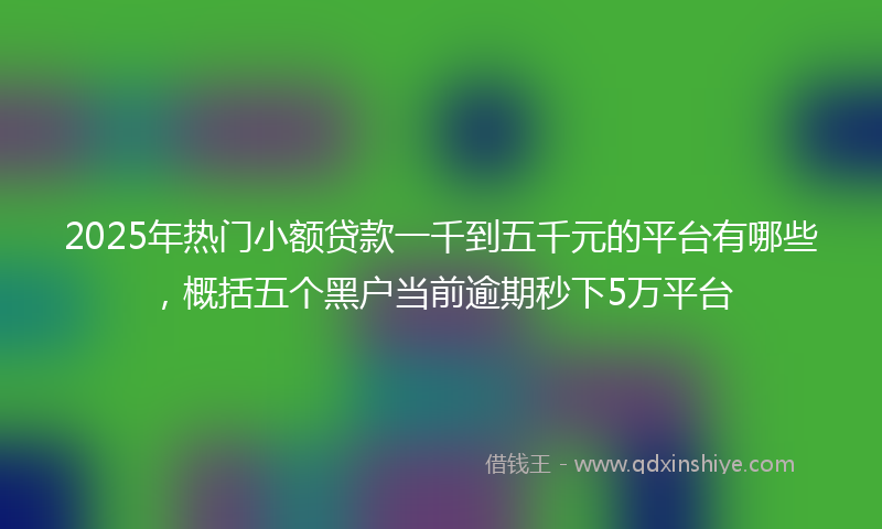 2025年热门小额贷款一千到五千元的平台有哪些，概括五个黑户当前逾期秒下5万平台