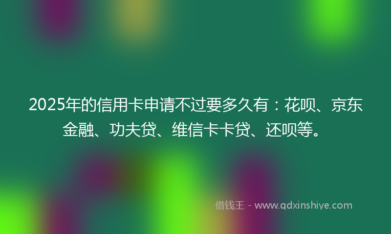 2025年的信用卡申请不过要多久有：花呗、京东金融、功夫贷、维信卡卡贷、还呗等。