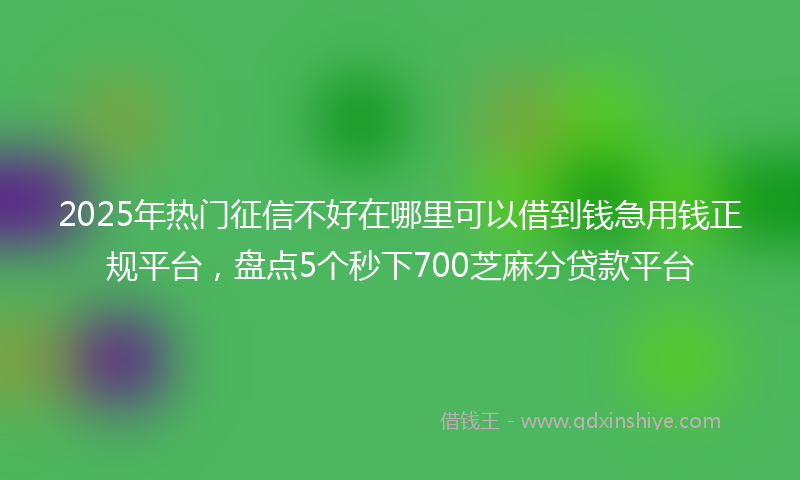2025年热门征信不好在哪里可以借到钱急用钱正规平台，盘点5个秒下700芝麻分贷款平台