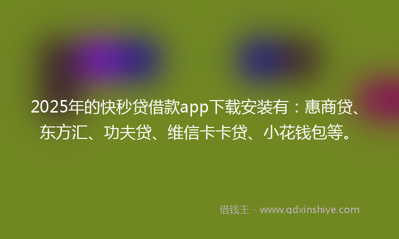2025年的快秒贷借款app下载安装有：惠商贷、东方汇、功夫贷、维信卡卡贷、小花钱包等。