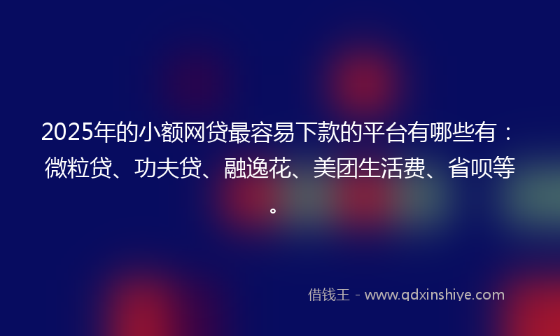 2025年的小额网贷最容易下款的平台有哪些有：微粒贷、功夫贷、融逸花、美团生活费、省呗等。