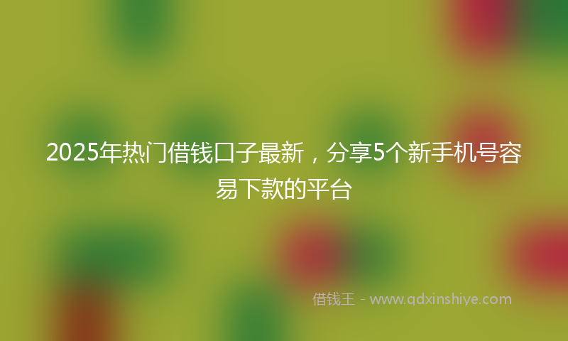 2025年热门借钱口子最新，分享5个新手机号容易下款的平台
