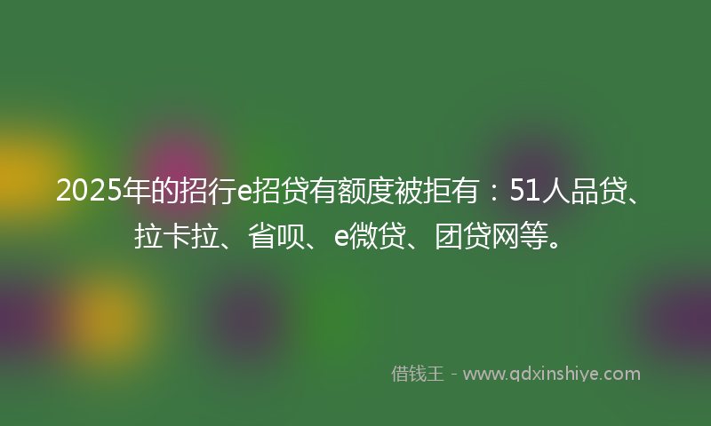 2025年的招行e招贷有额度被拒有：51人品贷、拉卡拉、省呗、e微贷、团贷网等。