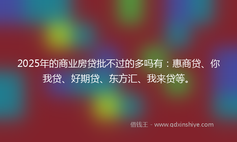 2025年的商业房贷批不过的多吗有：惠商贷、你我贷、好期贷、东方汇、我来贷等。
