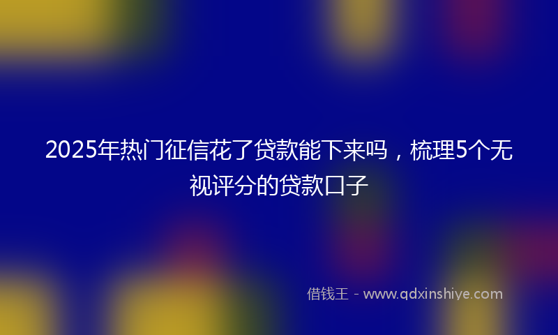 2025年热门征信花了贷款能下来吗，梳理5个无视评分的贷款口子