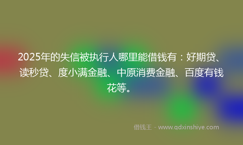2025年的失信被执行人哪里能借钱有：好期贷、读秒贷、度小满金融、中原消费金融、百度有钱花等。